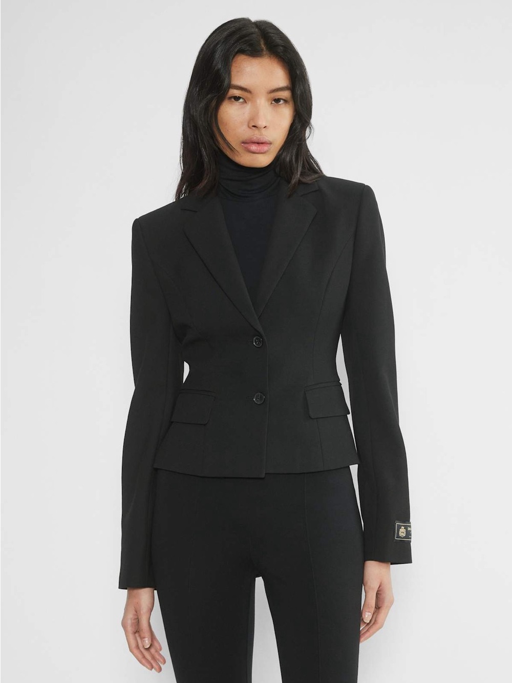 Babaton Curate Blazer Black Size 00 Aritzia